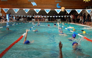 511989e26b080_Bernay 01-04-12 (12).JPG